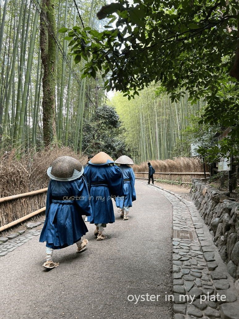 교토 아라시야마 대나무 숲, 높은 대나무들이 우거진 숲 속에서 평화롭고 신비로운 분위기를 자아내는 모습.