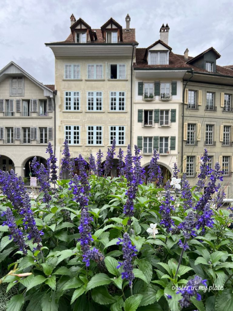 스위스 베른 시내의 고풍스러운 유럽식 빌딩들, 전통적인 건축 양식이 돋보이는 아름다운 거리 풍경."