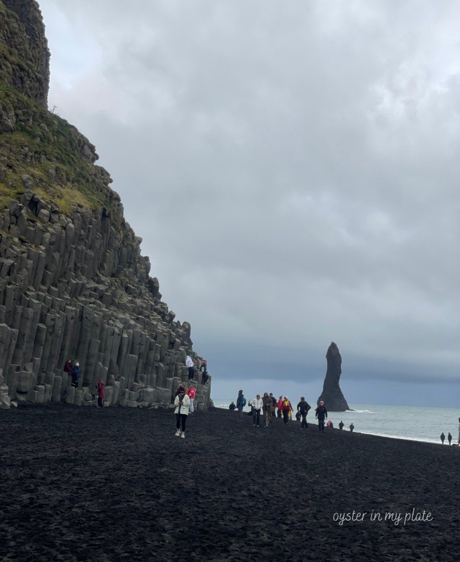 아이슬란드 레이니스피아라의 검은 모래 해변