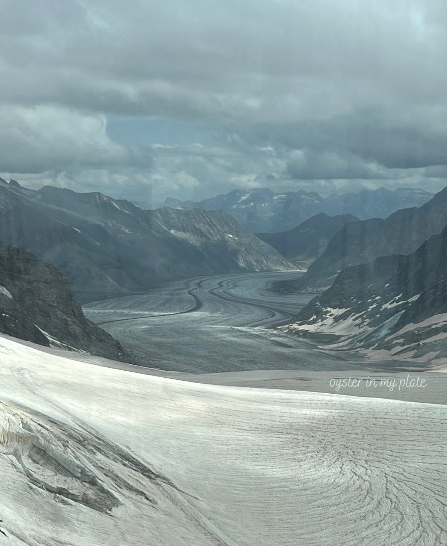 융프라우요흐 전망대에서 본 유럽에서 가장 긴 알레치 빙하