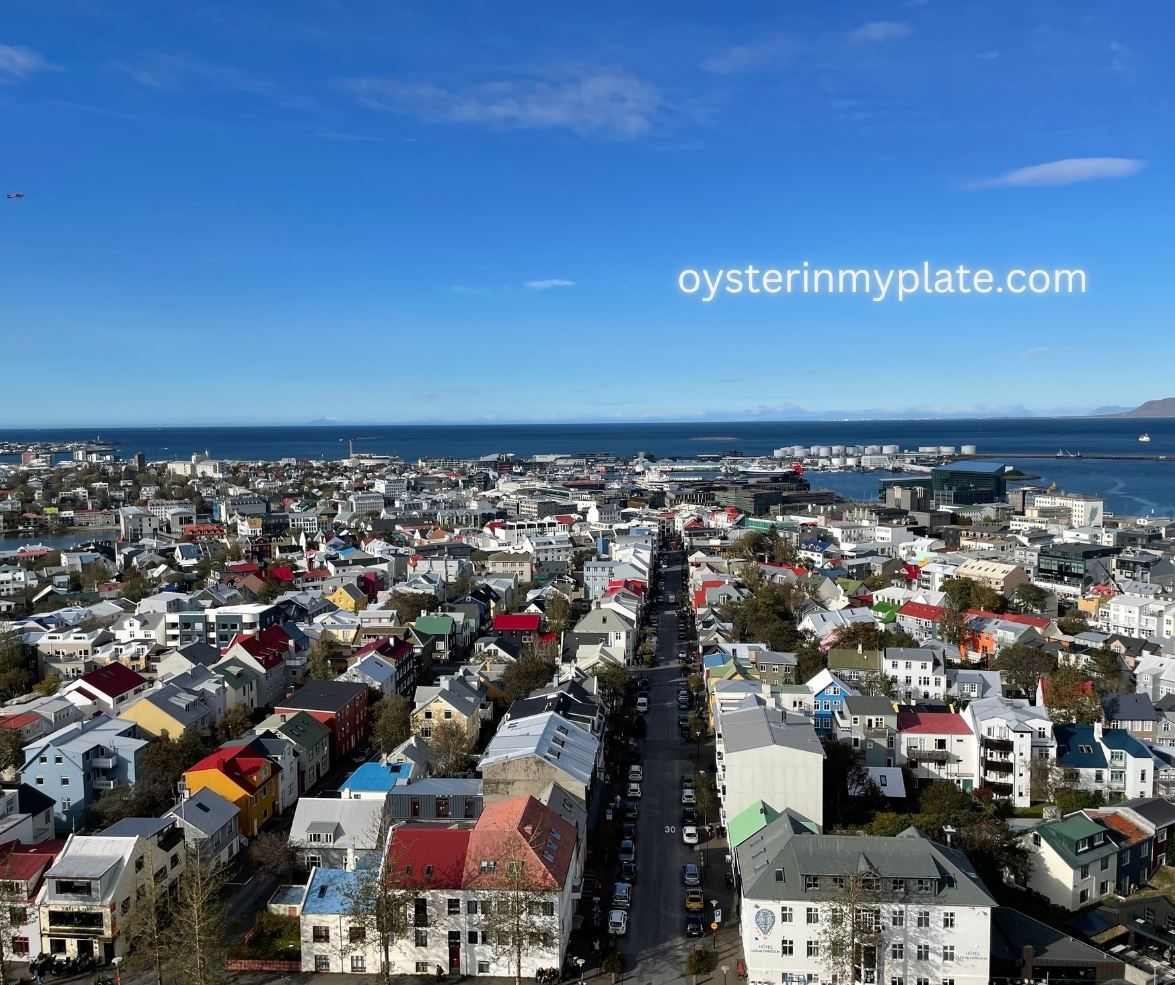 아이슬란드 레이캬비크 시내 전경, 맑은 하늘 아래 알록달록한 지붕들