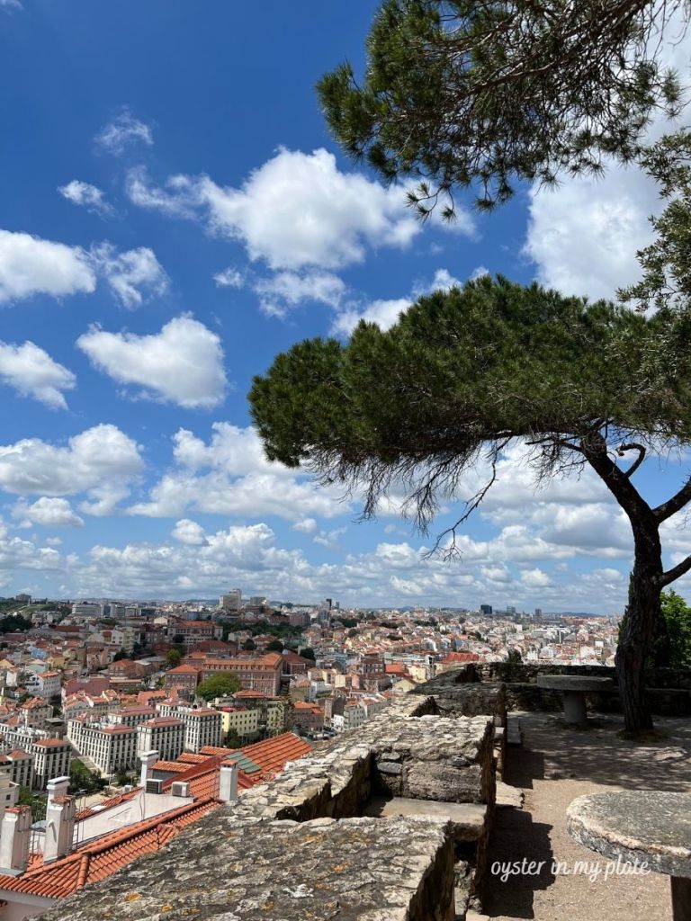 Panoramic view of Lisbon's old city with terracotta roofs, lush pine trees, and a stone bench, seen from the grounds of São Jorge Castle under a blue sky with white clouds.
