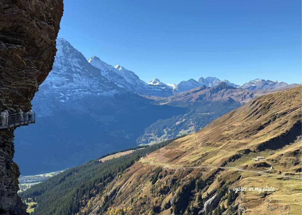 피르스트 클리프워크에서 본 알프스 풍경