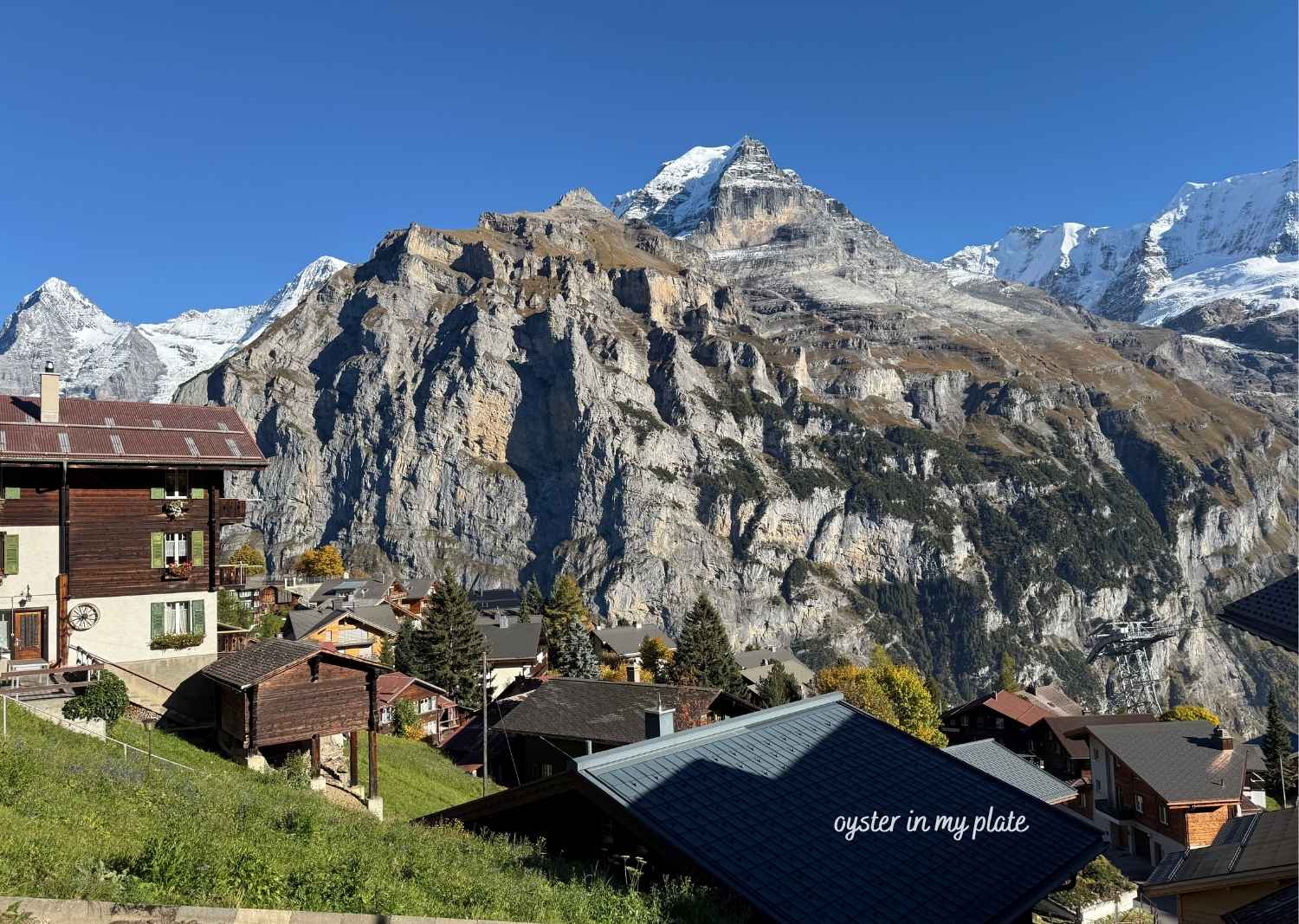 뮈렌에서 바라보는 알프스 3대 미봉모습