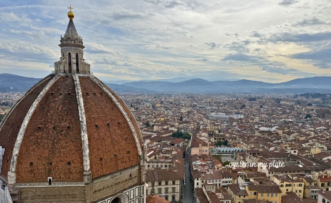 피렌체 두오모 성당 돔과 피렌체 시내 모습
