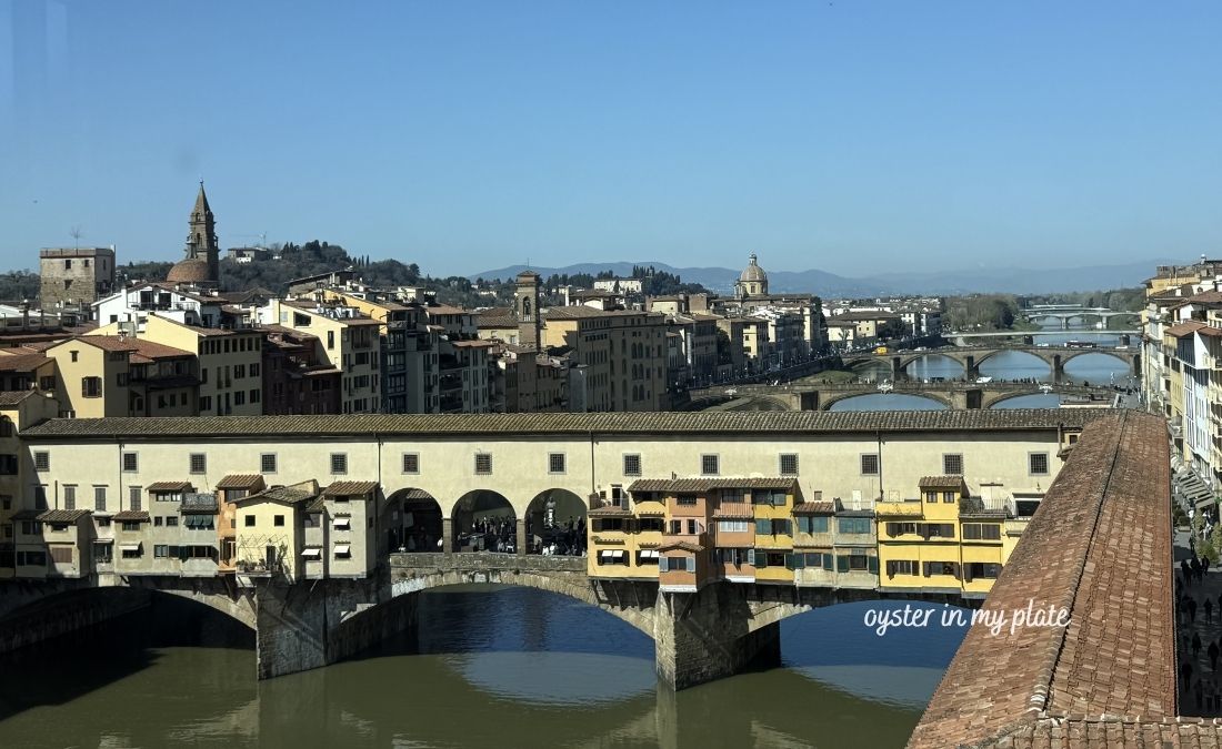 이탈리아 피렌체(Florence)의 전경을 담은 사진입니다. 아르노강 위에 놓인 유명한 폰테 베키오(Ponte Vecchio) 다리가 중심에 보이며, 다리 위에는 전통적인 건물과 상점들이 늘어서 있습니다. 주변으로는 테라코타 지붕의 건물들과 여러 개의 다리가 이어지고 있으며, 맑은 하늘 아래 피렌체 특유의 고풍스러운 도시 풍경이 펼쳐져 있습니다.